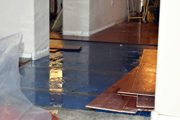 Professional Water Damage Restoration technician working in West Olive, MI