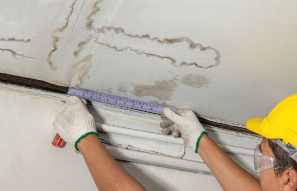 Reliable Water Damage Restoration contractor in West Olive, MI by Water Damage Irwin